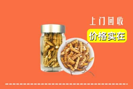 收购资讯:清远市回收散虫草