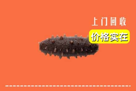 收购资讯:清远市回收海参