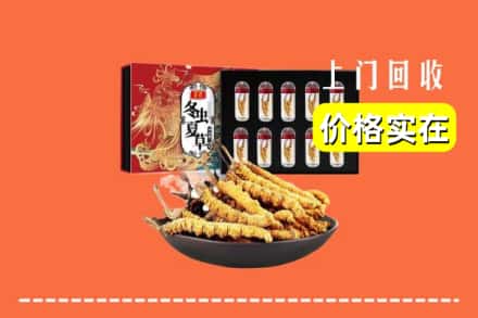 清远市回收虫草